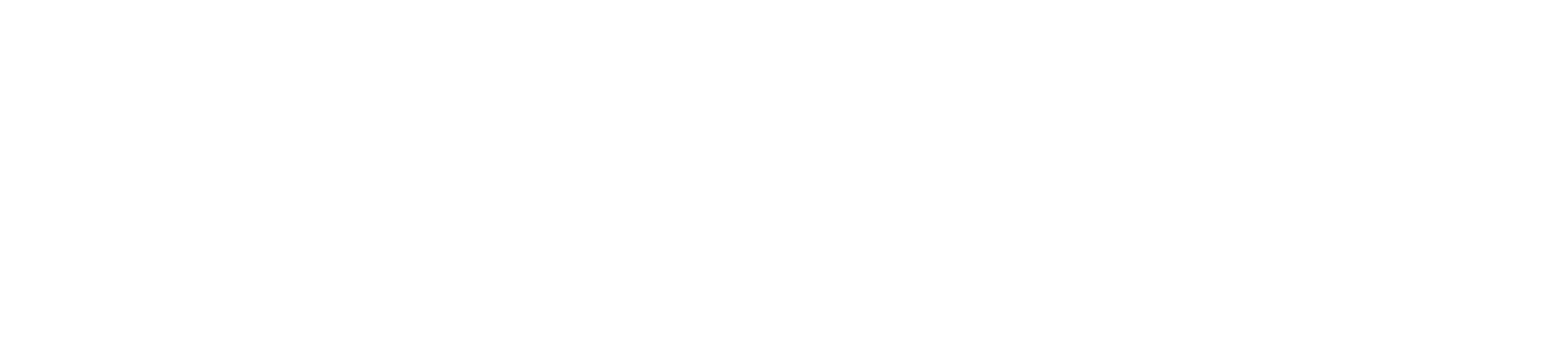 Oxi Logistics Logo Text